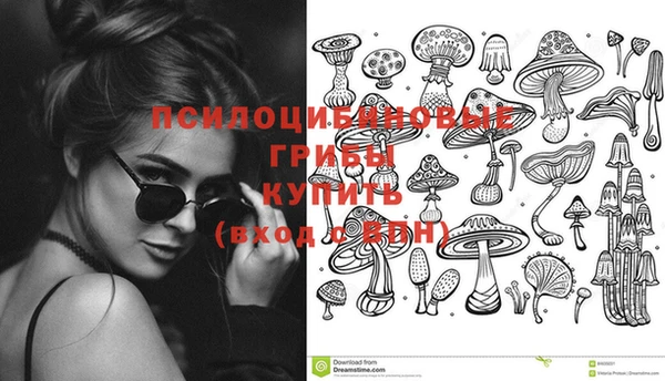 СК Заволжье