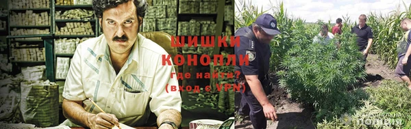 apvp Заводоуковск