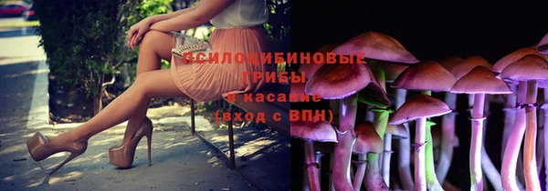 СК Заволжье