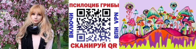 Купить закладки  Мелеуз  Псилоцибиновые грибы Psilocybine cubensis 