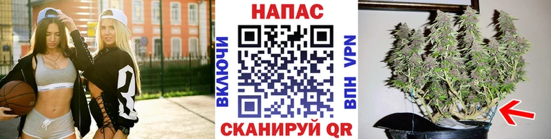 Купить Мелеуз Бошки марихуана Amnesia